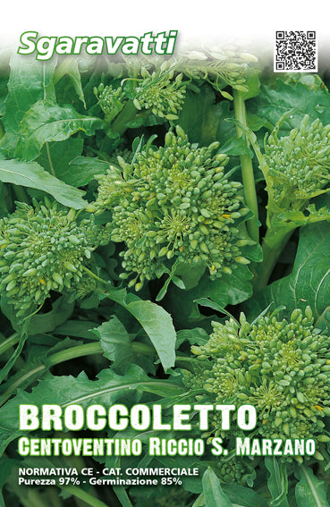 Semi di Broccoletto Centoventino Riccio S Marzano