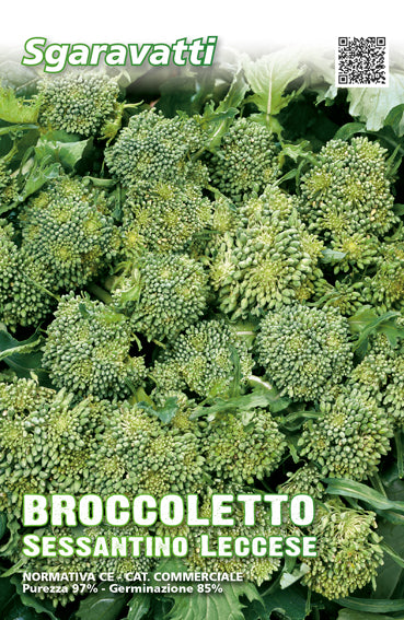 Semi di Broccoletto Sessantino Leccese Cima Grossissima