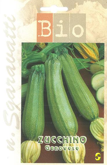 Semi di Zucchino Genovese Bio