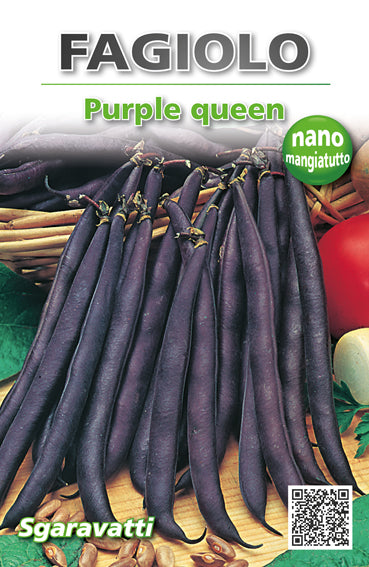 Semi di Fagiolo Purple Queen