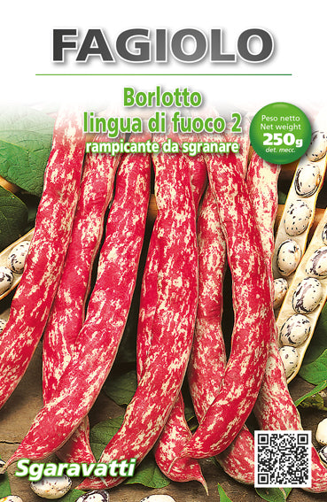 Semi Di Fagiolo Rampicante Borlotto Lingua Di Fuoco - Confezione Da 100g (circa 200 Semi), Per Orto E Giardino - Foto 4