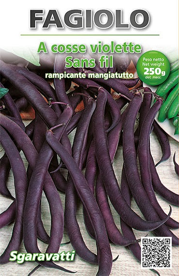 Semi Di Fagiolo Nano Purple King - 100 Grammi, Per Orto, Colore Viola, Semina Da Aprile A Luglio - Foto 10