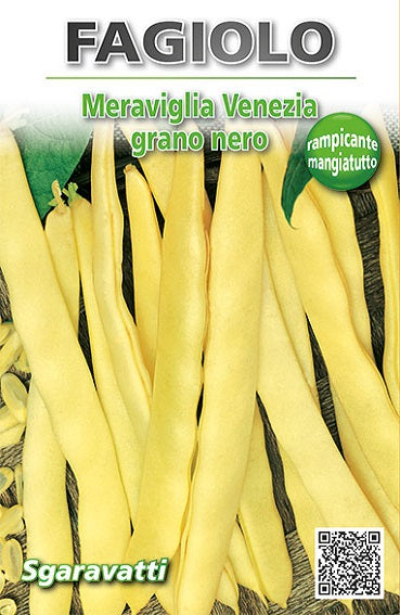 Semi Fagiolo Rampicante Maravilha De Veneza - Produzione Abbondante E Gialla - Foto 9