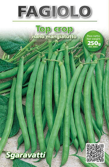 Fagiolo Nano Contender - Semi Per Orto - Sementi Dotto