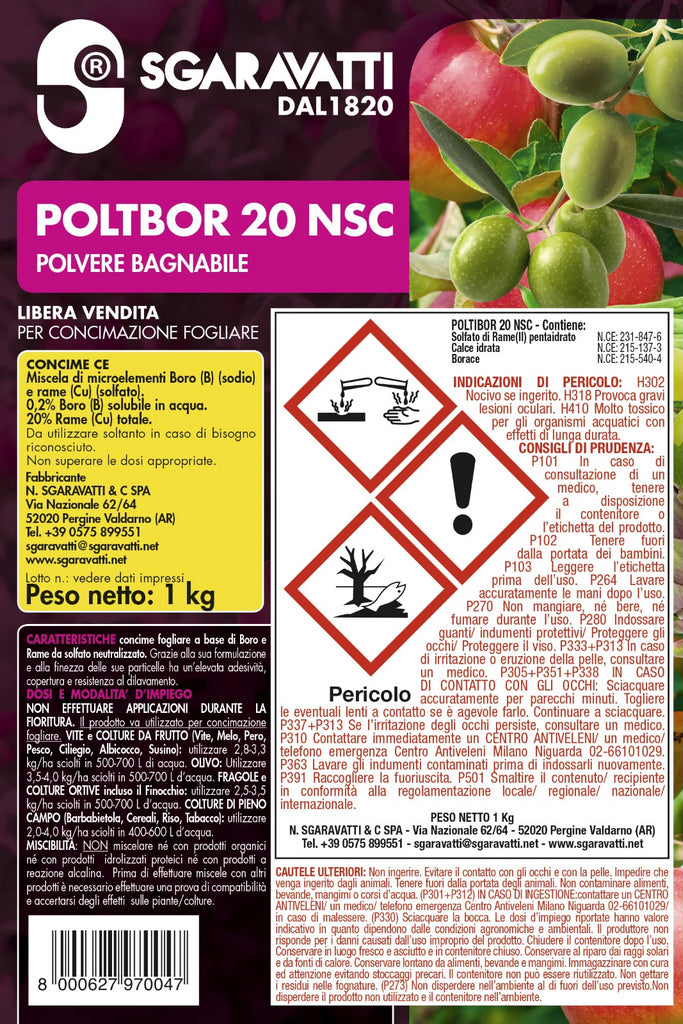 Poltbor 20 NSC Polvere Fungicida,
