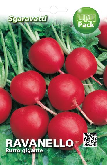 Semi Di Ravanello Per Germogli Bio - Geo, 12.7x0.7x20 Cm, Ricchi Di Nutrienti - Foto 3