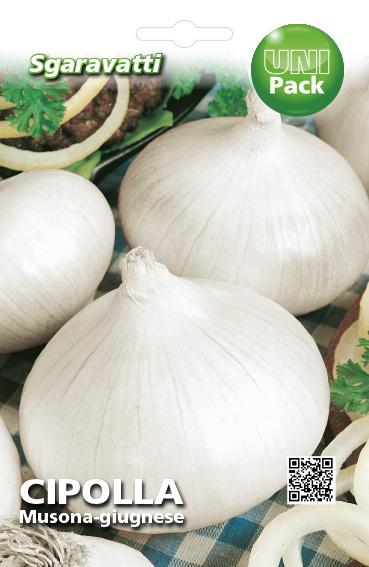 Semi di Cipolla Tonda Musona (giugnese)